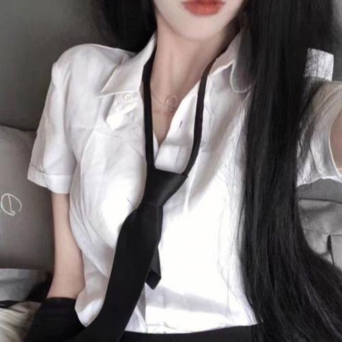 漂亮马驹