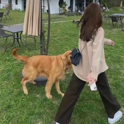 充满胸口的爱